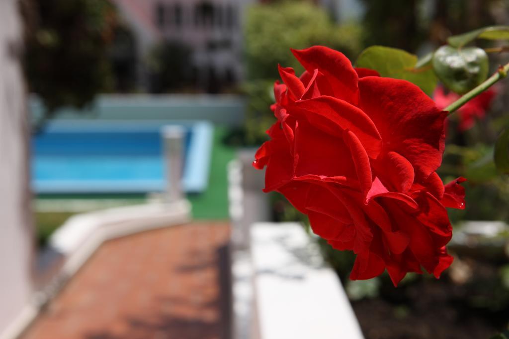 Canico Bay Apartments Екстериор снимка